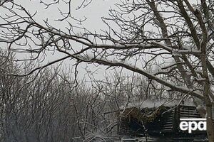 Навальний, за твердженням УФСВП, помер на прогулянці