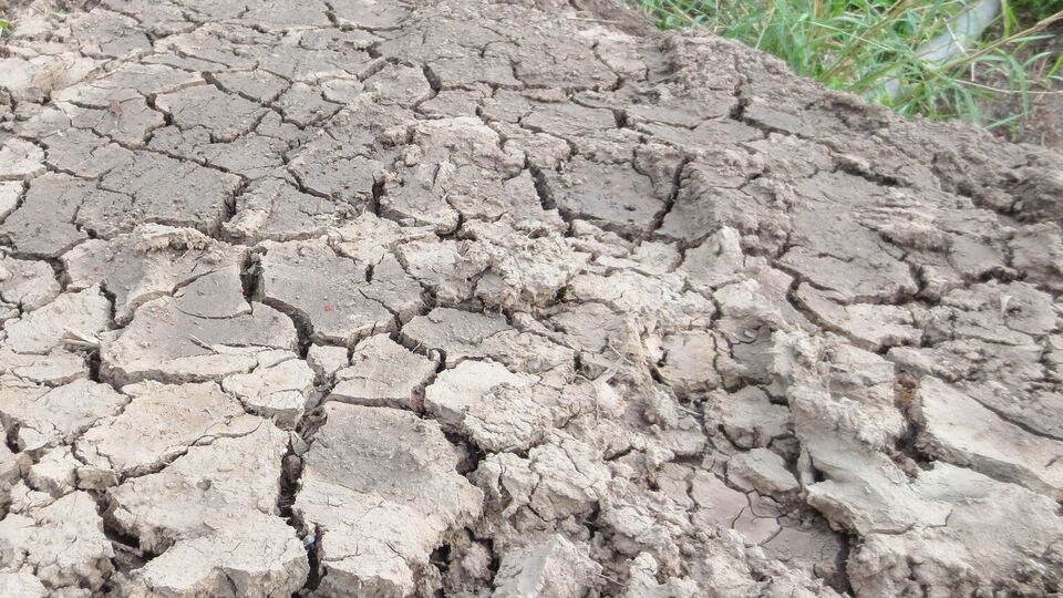 На важких глинистих ґрунтах калюжі можуть повільно вбиратися й випаровуватися. Під час їхнього висихання з'являється жорстка кірка