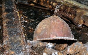 За словами Вілкула, урятовано всіх 113 шахтарів