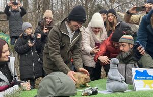 Тимко "предсказал" раннюю весну