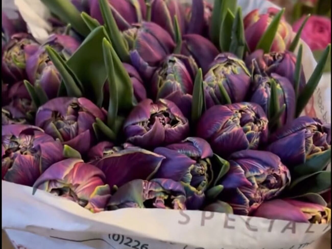 После окрашивания кончики стеблей, которые соприкасались с краской, нужно срезать