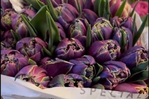 После окрашивания кончики стеблей, которые соприкасались с краской, нужно срезать