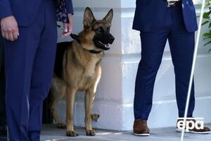Командора після низки інцидентів з укусами вивезли з Білого дому в жовтні 2023 року