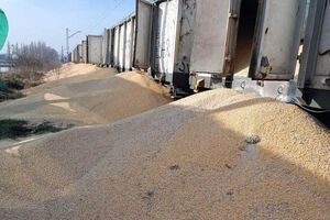 В ночь на 25 февраля в Польше неизвестные высыпали из вагонов 160 тонн украинского зерна