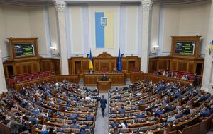 Процесс рассмотрения поправок к законопроекту о мобилизации займет не один день, отметила нардеп Фриз