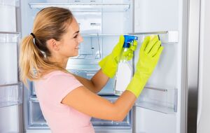 Для мытья холодильника необязательно использовать химические средства
