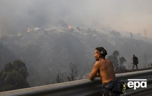 Президент Чили назвал ситуацию в стране из-за лесных пожаров "очень сложной"