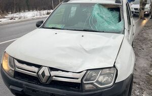 Під час пошукових заходів на службове авто Держприкордонслужби раптово вискочив чоловік, розповіли у ДПСУ