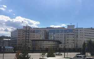 Активист Форума свободной России работал на разведку, пишут СМИ