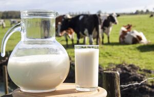 Молочний сектор Польщі може постраждати, якщо український кордон закриють