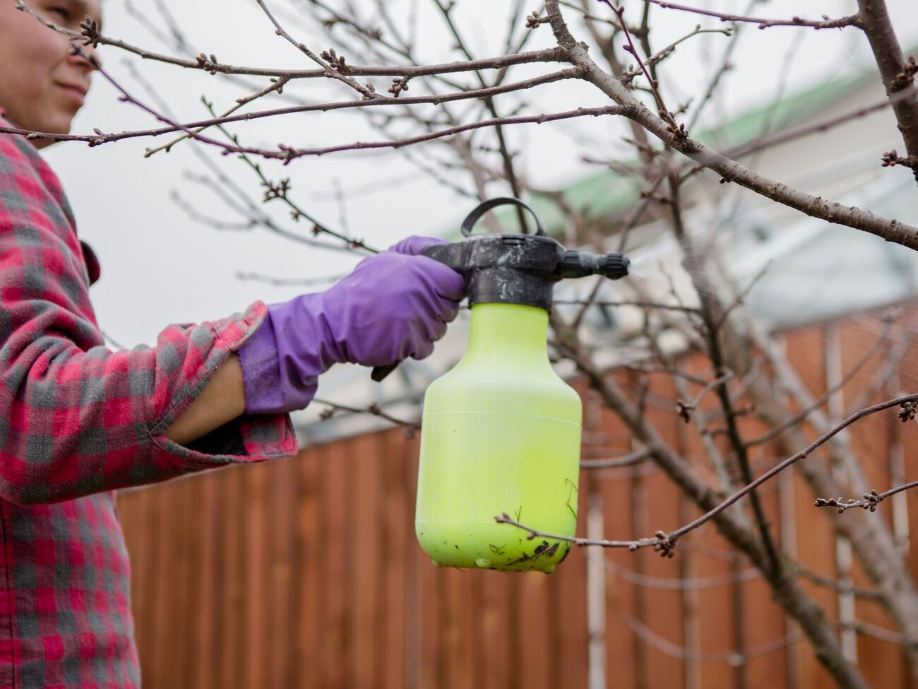 Некоторые продавцы выдают крашеную соль за медный купорос