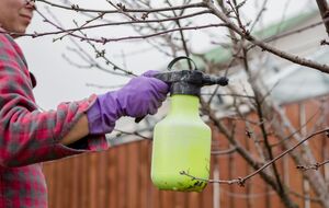 Некоторые продавцы выдают крашеную соль за медный купорос