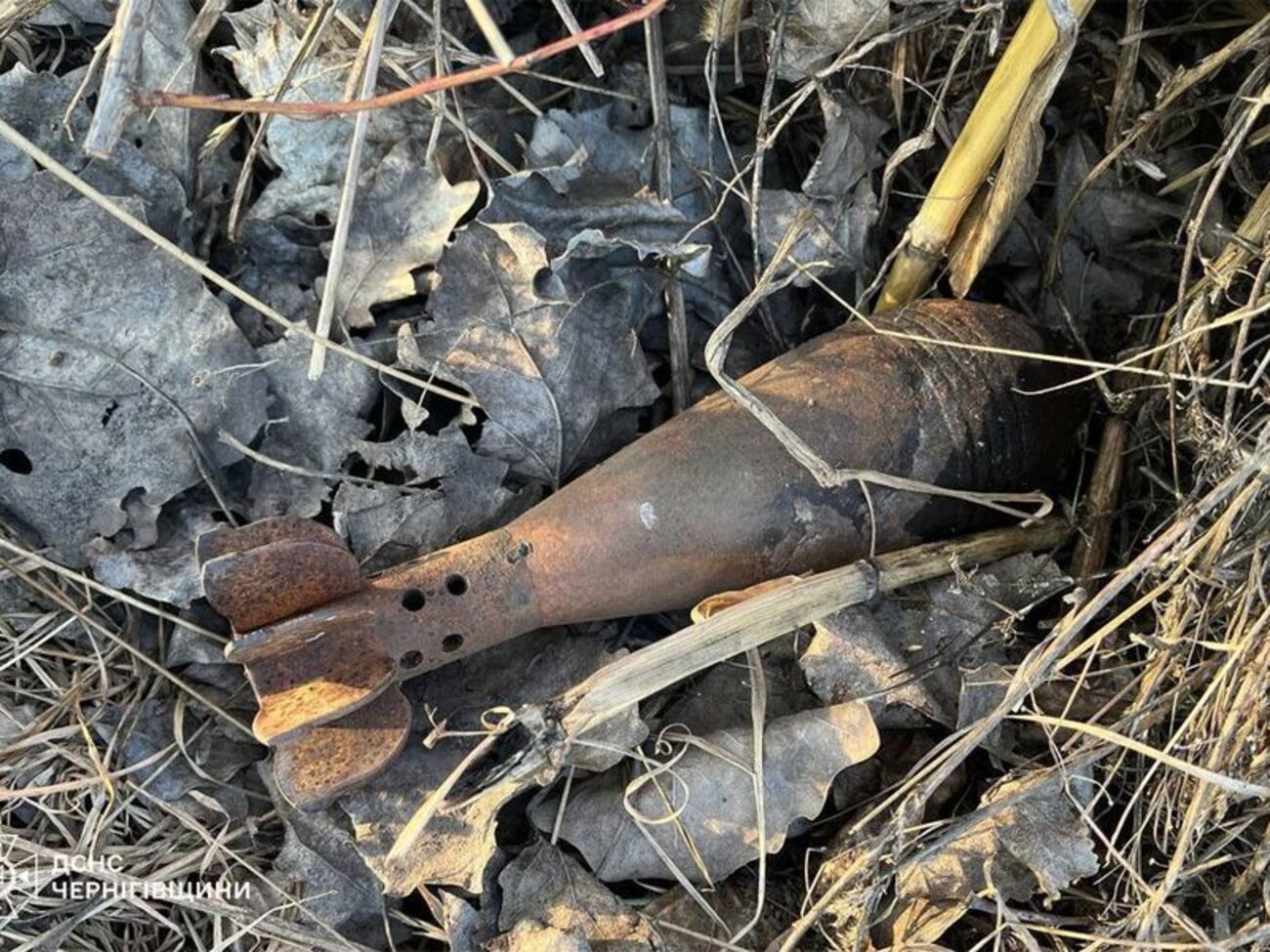 Оккупанты обстреляли Сумскую область из миномета, убив мирного жителя