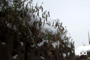 Сили оборони України обороняються на таврійському напрямку, заявив Лиховій