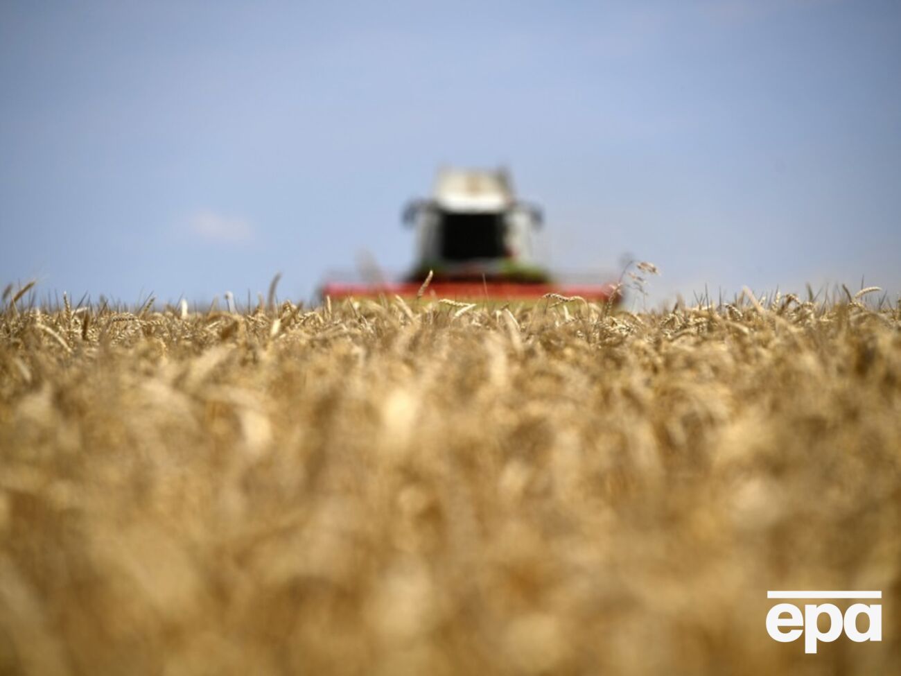 Україна не має суттєвого впливу на проблеми польських фермерів, кажуть експерти