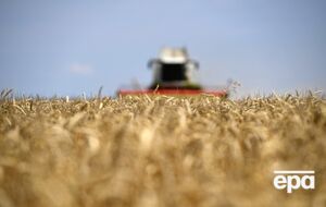 Україна не має суттєвого впливу на проблеми польських фермерів, кажуть експерти