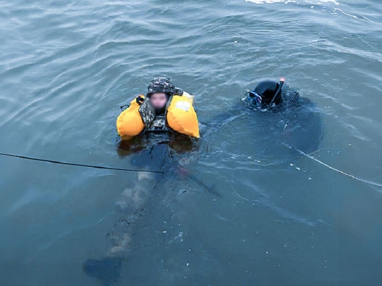 Модули создают украинцы в сотрудничестве с иностранцами, отметили в Минобороны