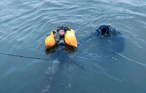 Модули создают украинцы в сотрудничестве с иностранцами, отметили в Минобороны