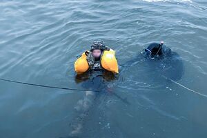 Модулі створюють українці у співпраці з іноземцями, зазначили в Міноборони