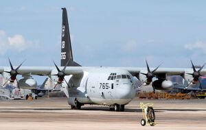 Военные сбросили более 38 тыс. порций еды вдоль побережья Газы