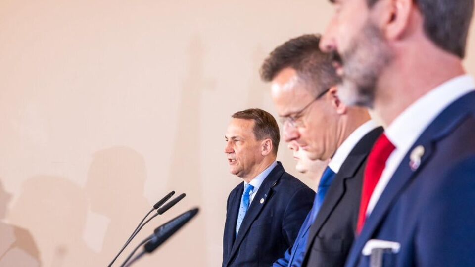 Сикорский (слева) сделал заявление на саммите "Вышеградской четверки"