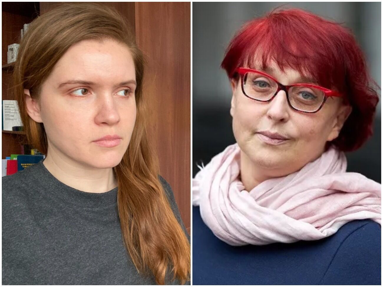 Законопроект Безуглой и Третьяковой вызвал возмущение в Европарламенте