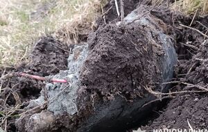 Правоохранители отсоединили детонаторы от остатка боевой части и изъяли их для дальнейшего уничтожения, отметили в полиции