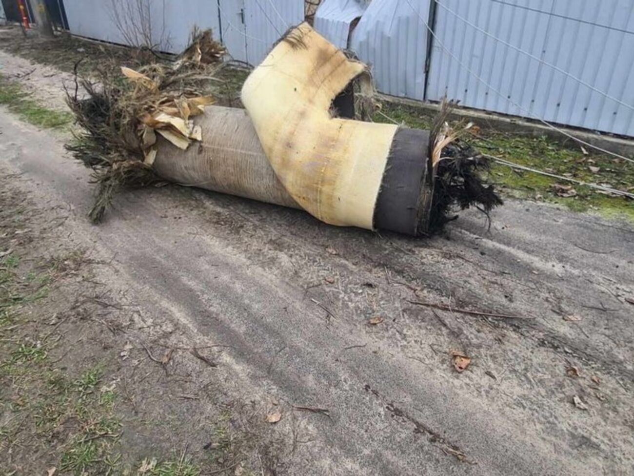 По словам Кульчицкого, украинская система ПВО способно сбивать "Цирконы"