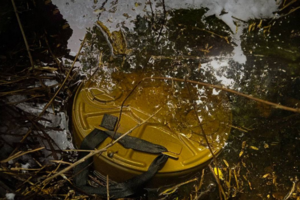 Окупанти намагалися встановити у воді міни, але "розмінували" свій же боєприпас