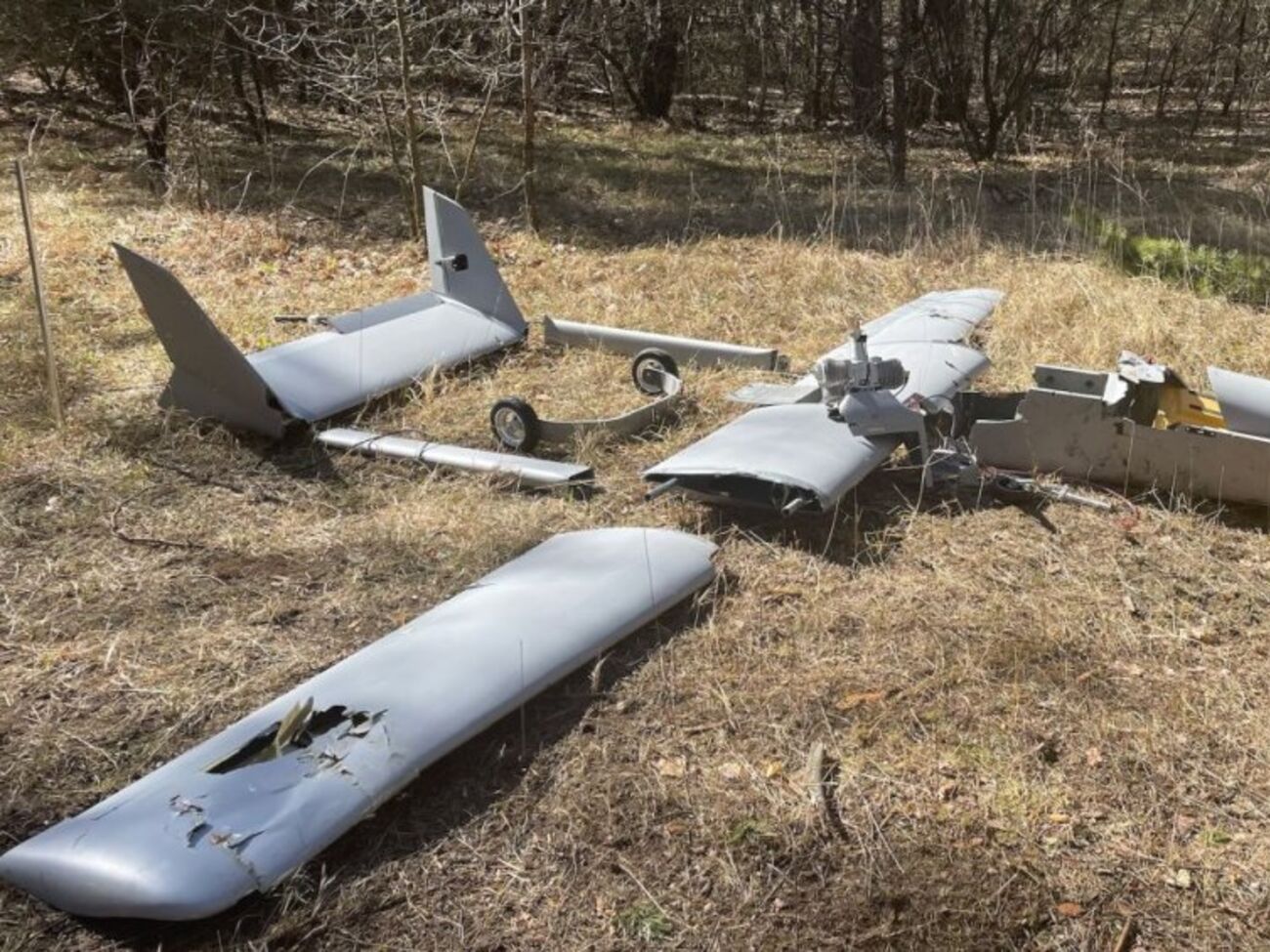 Безпілотники РФ уже падали на румунській території