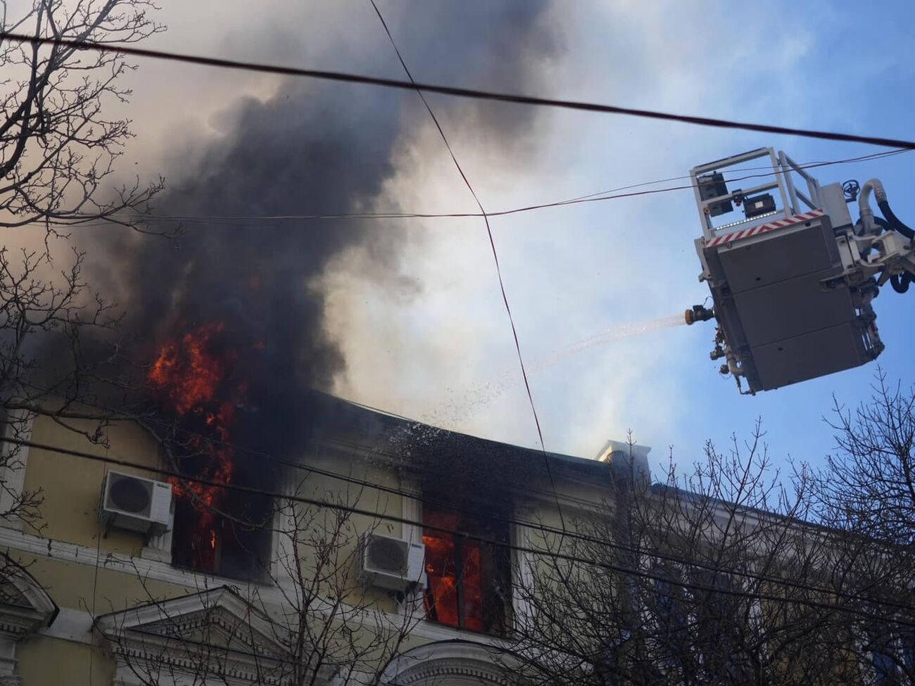 Вогонь охопив 1,5 тис. м²