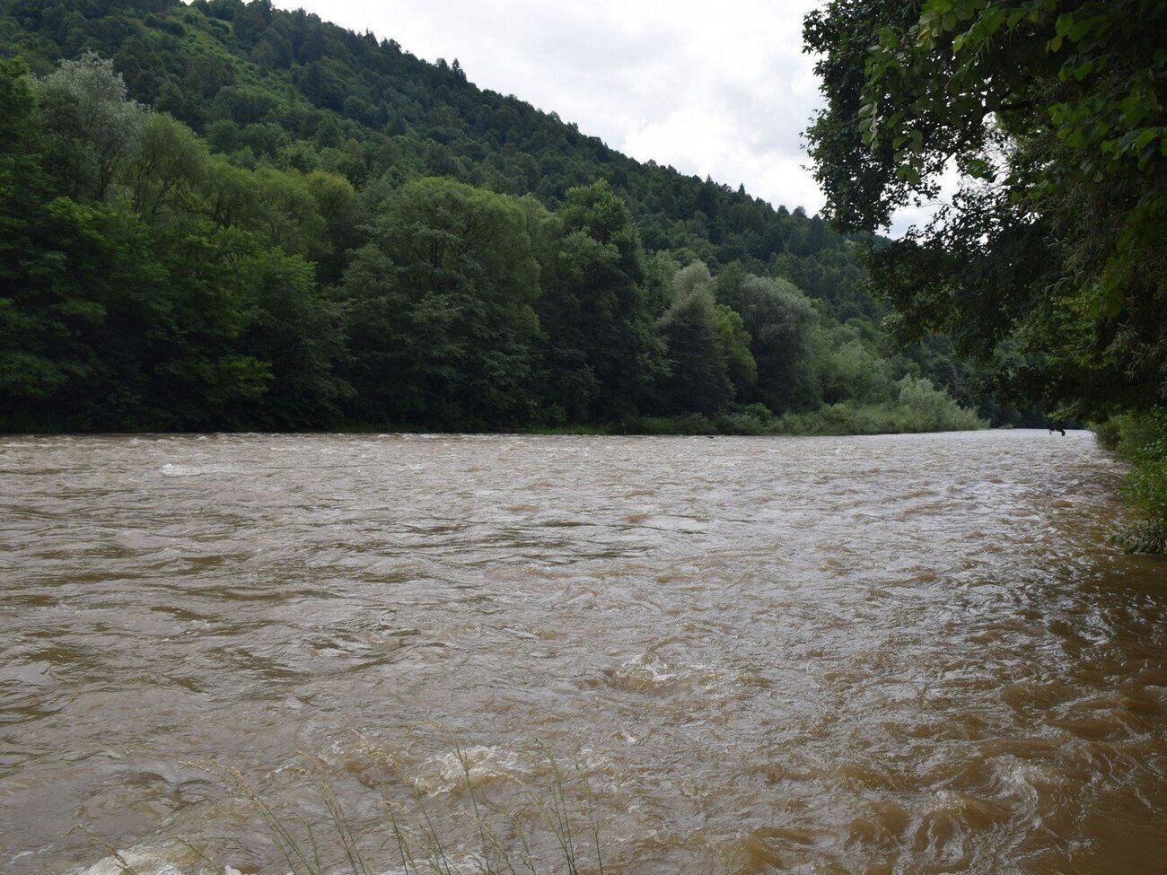 ОВА хочет организовать международные перевозки по Тисе с выходом к большим судоходным рекам