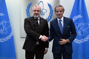 Галущенко и Гросси встречались в Вене