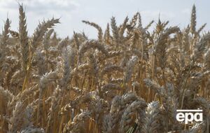 Сырье из РФ приводит к снижению цен во всем Евросоюзе – литовские зернопроизводители