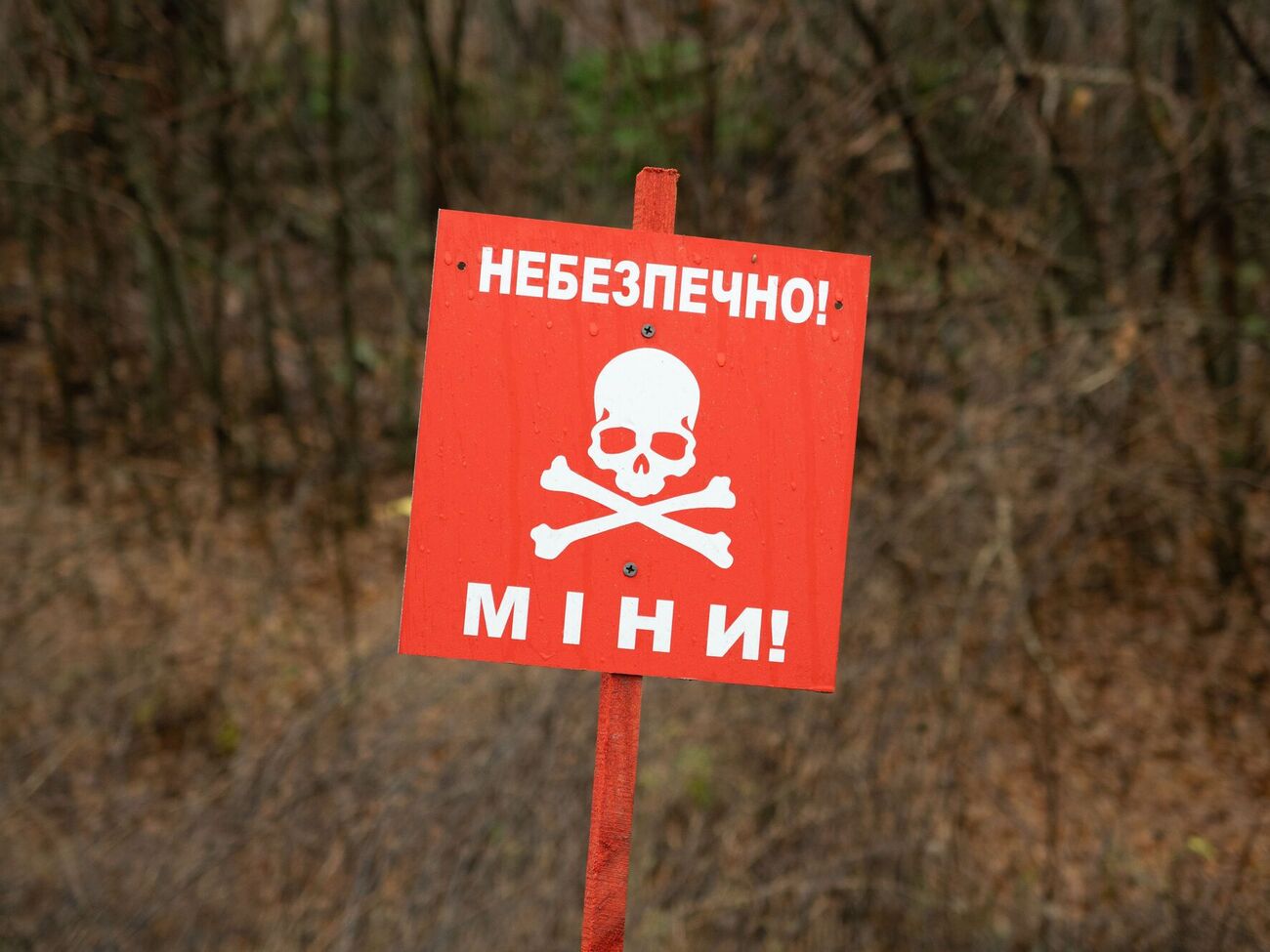 Рятувальники наголошують, що в цьому районі досі залишається високий рівень мінної небезпеки і працюють сапери ДСНС