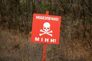Спасатели подчеркивают, что в этом районе до сих пор сохраняется высокий уровень минной опасности и работают саперы ГСЧС
