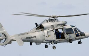 По данным ВМС Мексики, на борту разбившегося вертолета было восемь человек