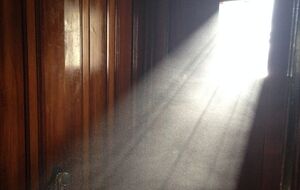 Пилової бурі "цього разу" не буде, зазначили в гідрометцентрі