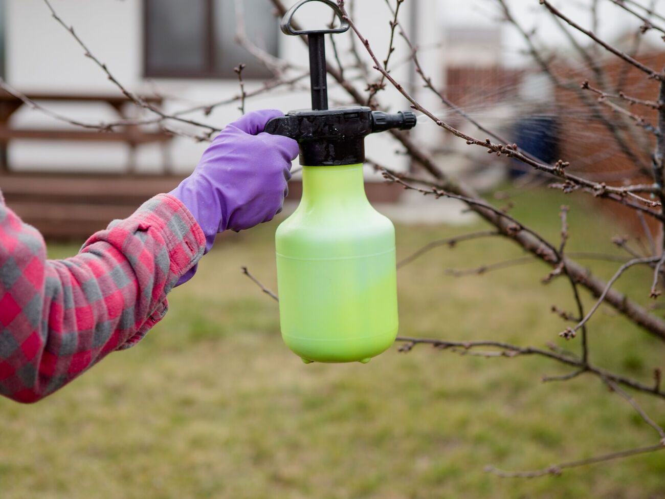 Некоторые препараты лучше оставить для осени