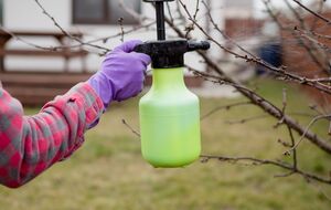 Некоторые препараты лучше оставить для осени