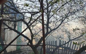 Російські окупанти другий день поспіль травмують мирних жителів прифронтового Гуляйполя