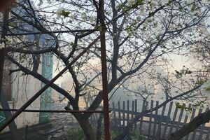 Российские оккупанты второй день подряд травмируют мирных жителей прифронтового Гуляйполя, отметили в ОВА