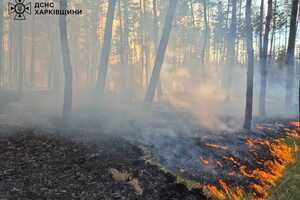 Унаслідок російських обстрілів сталося дві пожежі в лісових масивах на околиці сіл Курилівка і Подоли, зазначили у ДСНС