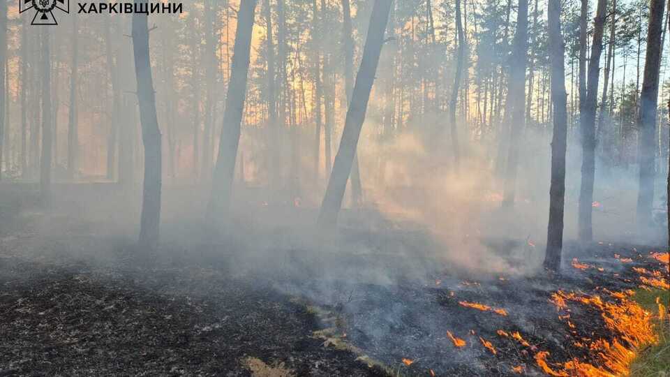 В результате российских обстрелов произошло два пожара в лесных массивах на окраинах сел Куриловка и Подолы, отметили в ГСЧС