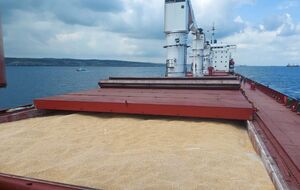 Москва і Київ, за даними Reuters, у підсумку не підписали угоди, у якій зобов'язалися не завдавати ударів по цивільних торговельних суднах