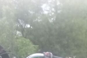 Рішення підтримав 131 делегат ПАРЄ