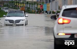 Козупица-старший заявил, что жизнь в Дубае – "тоже не мед"