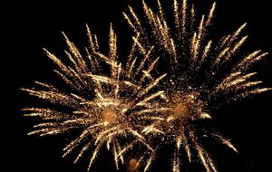 Мужчина заявил, что хотел поздравить жену