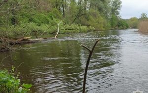 Подростка искали, в частности, с водолазами