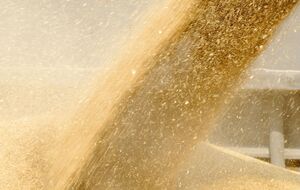 "Бізнес.Цензор" зазначає, що підрозділи Cargill, Louis Dreyfus і Glencore (через Viterra) в Росії стабільно входили в десятку зернотрейдерів